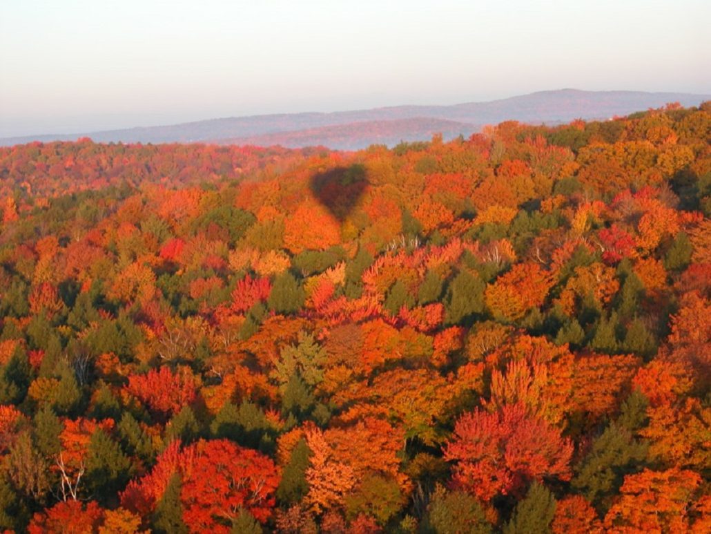 Fall In Vermont