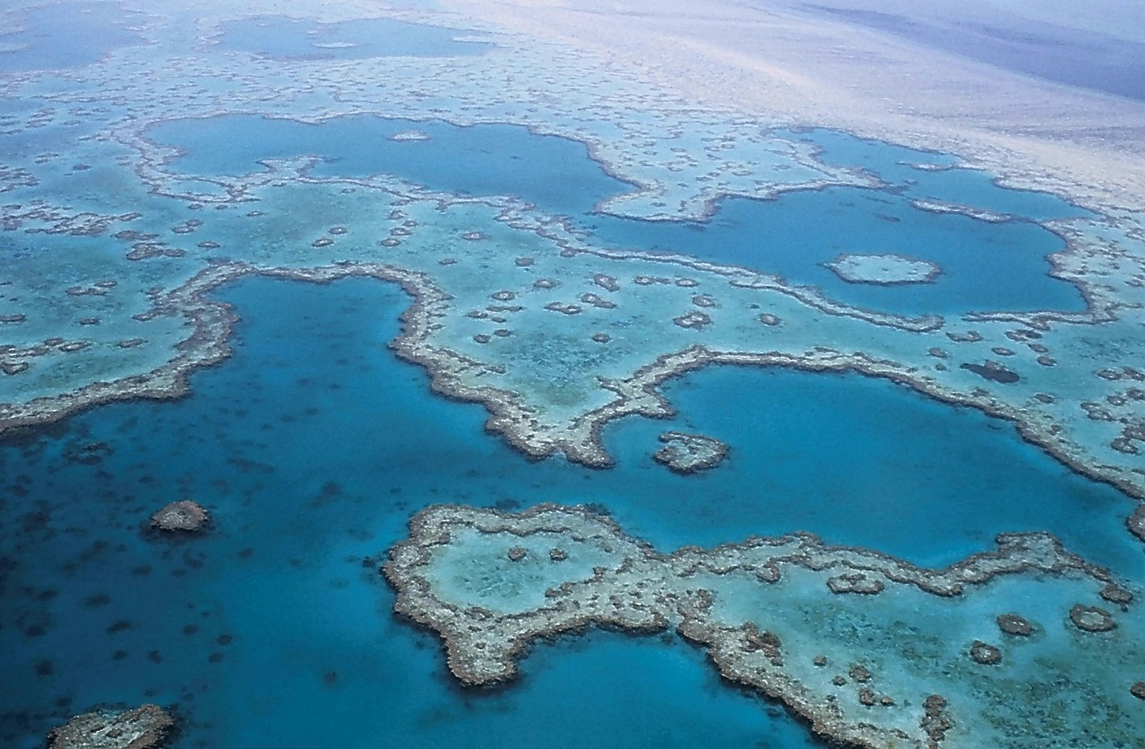 great-barrier-reef-527987_1280