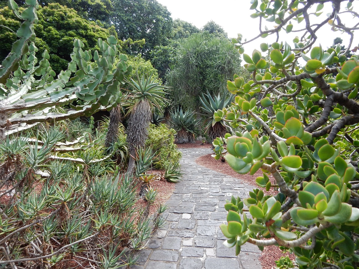 Make sure to walk through some of the special gardens like the beautiful Succulent Garden