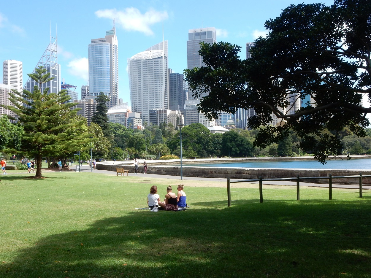 There's lots of lawns and chairs spread across the botanical gardens to sit and take in the views. 