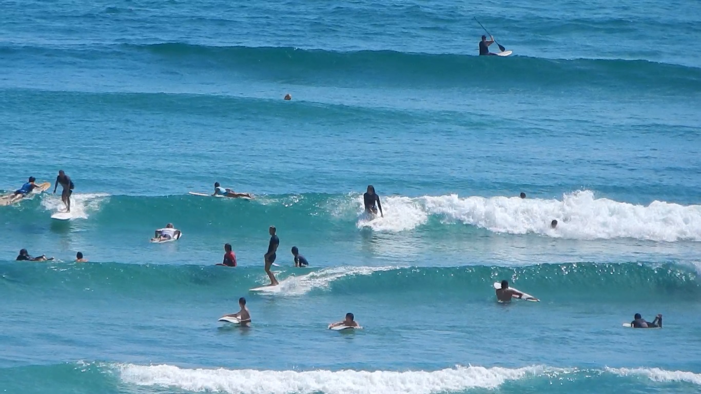 Surfers on Watego Beach.