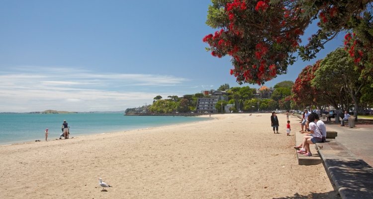 Mission Bay is great beach for family day out