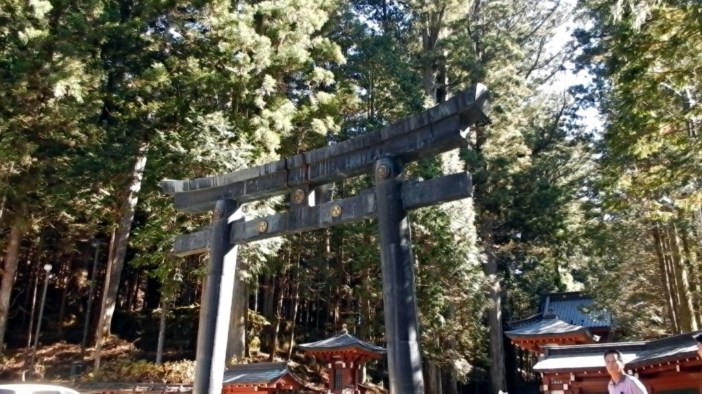 Torri Gate Forrest-min
