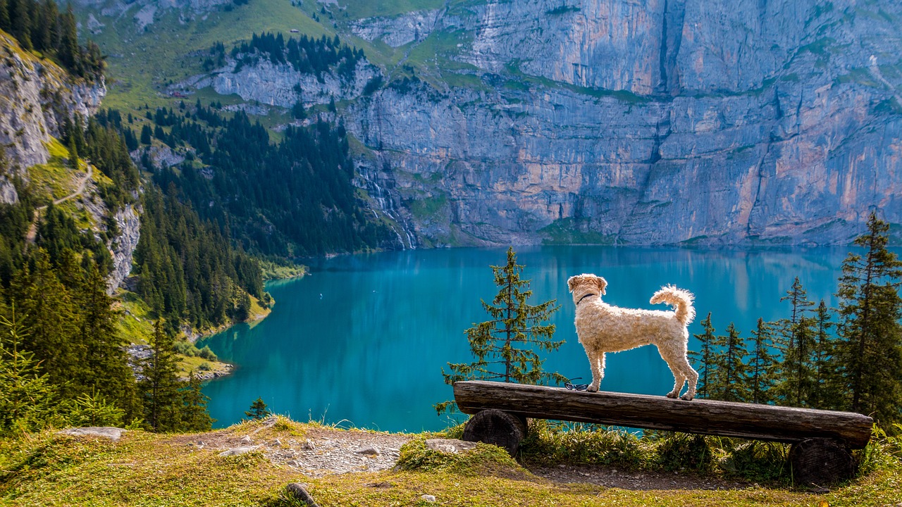 Switzerland has an endless supply of beautiful lakes 